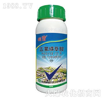 25��ÿ������ǲݰ�-����-���r(n��ng)(li��n)��