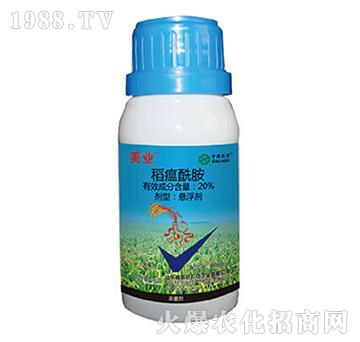 20%��������-���I(y��)-���r(n��ng)(li��n)��