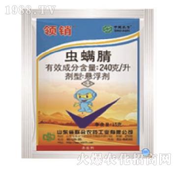 240��ÿ���x����-�I(l��ng)�N-���r(n��ng)(li��n)��