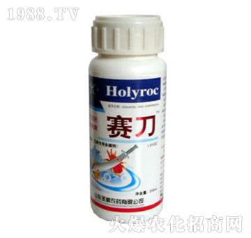 �߲˹Ϲ�����-ِ��-ʥ�i