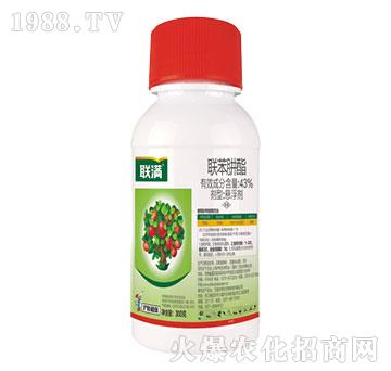 43%(li��n)������-(li��n)�M-��(li��n)