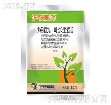 66%ϩ����������-��(li��n)�P��-��(li��n)