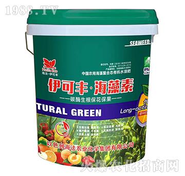 ̼ø������������-�����S��������-����