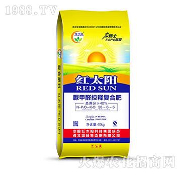 ���ȩ��ጏ�(f��)�Ϸ�28-6-6-�t̫�(y��ng)-�G��