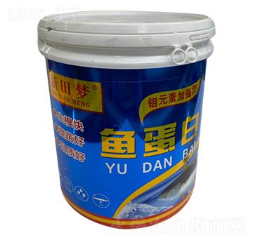 �~����-�����(m��ng)-�µ����