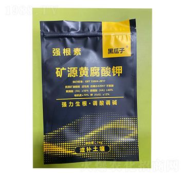 �VԴ�S�����-��(qi��ng)����-�µ����