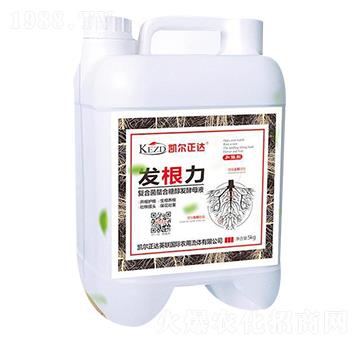 �l(f��)������(f��)�Ͼ��l(f��)��ĸҺ��-�لP��