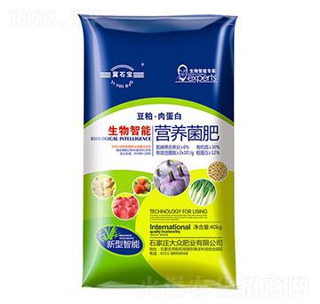 �������ܠI(y��ng)�B(y��ng)����-�󱊷ʘI(y��)