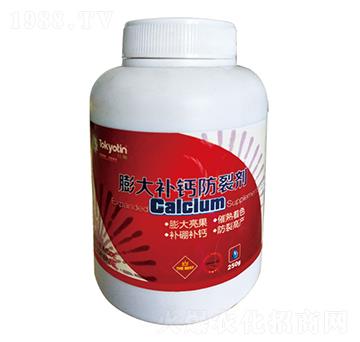 ����a(b��)�}���ф�-�����r(n��ng)�I(y��)