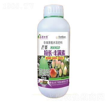 â�����L�S�M��-ʥ���f��-������