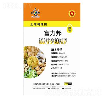 �����{(di��o)�턩-�w�����}�V�-����ʘI(y��)