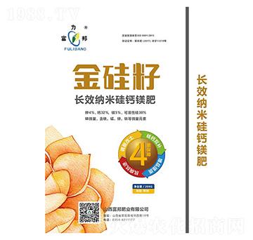 �L(zh��ng)Ч�{�׹��}�V��-�����-����ʘI(y��)