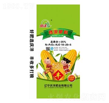 ������͓������10-20-5-�c��ʘI(y��)