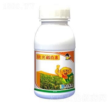 35%�f��ͪ-�Թ⵾ϲ��(l��i)-ӯ�x