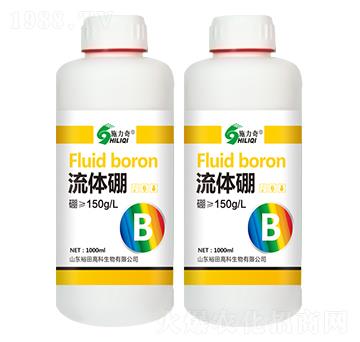 ���w��-ʩ����-ԣ��߿�