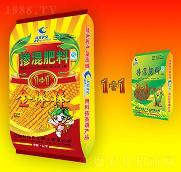 �������30-12-12-�����1+1-�����r��