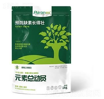 1kgʮ��Ԫ��-Ԫ�ؿ���(d��ng)�T-��(��i)¡