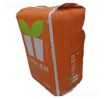 �M����̿-�۱���