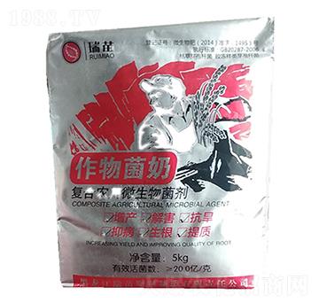 �������-����