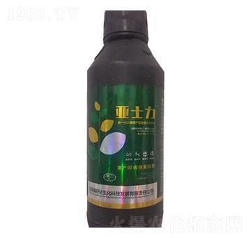 ��ʿ��-����