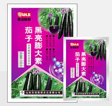 ���Ӻ��������-�A�Z��