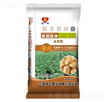 �������S�����-���f�ʘI(y��)