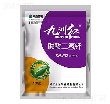 ��������-���޼t-�{������