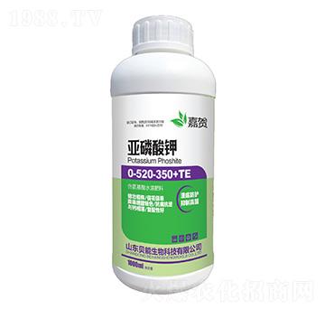 �������0-520-350+TE-ؐ������