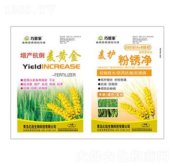 ���a(ch��n)�������S��+���o(h��)���P��-ؐ������