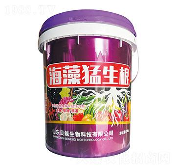 ����������-ؐ������