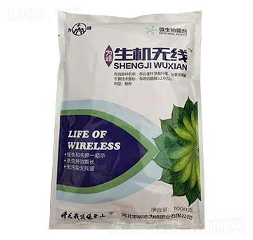 1000g΢�������-���C�o��-���