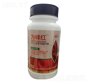 5%�������������-���t-���