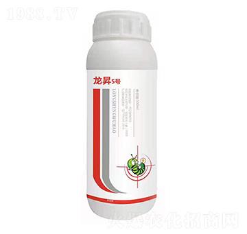 20%���x(ch��ng)�� ����5̖(h��o) ����(l��i)����