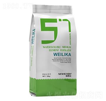 ΢���� �Z˼�_(d��)