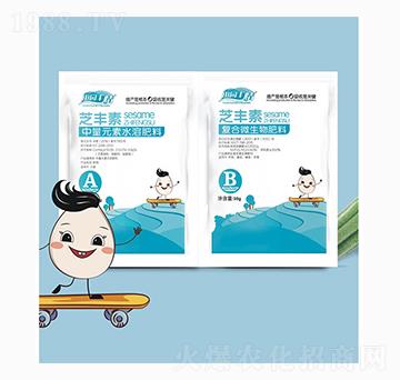 ֥�S��-ͨ������