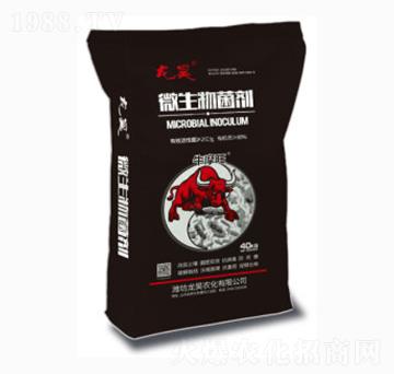 ΢���������40kg��-��껷ʘI(y��)