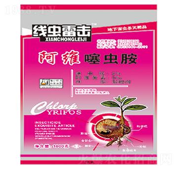 ���S���x(ch��ng)��-���x(ch��ng)�ד�-��������