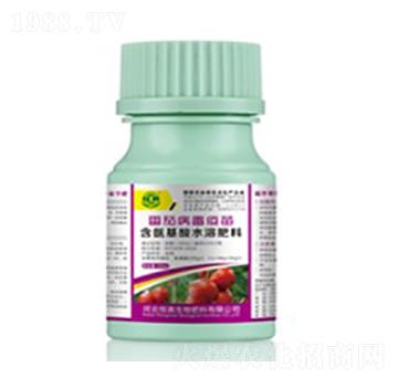 ���Ѳ�������-��������