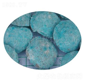 �ؙ������ؘ��-�����Ƽ�