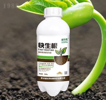 ������-����(l��)��