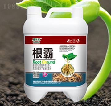 ����-������