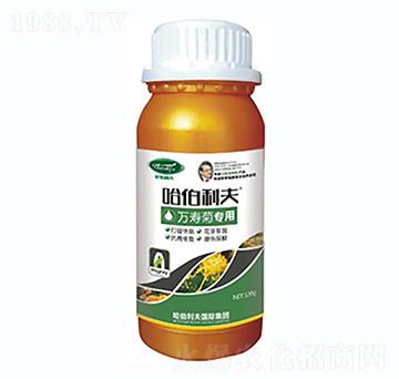 �f�۾Ռ���-��������