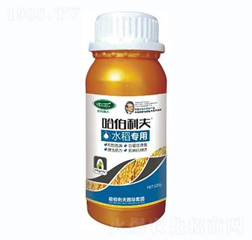 ˮ����(zhu��n)��-��������