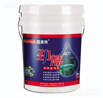 Һ�w�~���-����-������