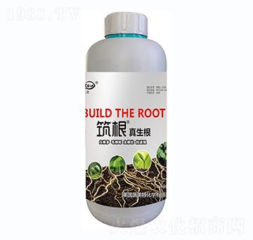 ����������-������