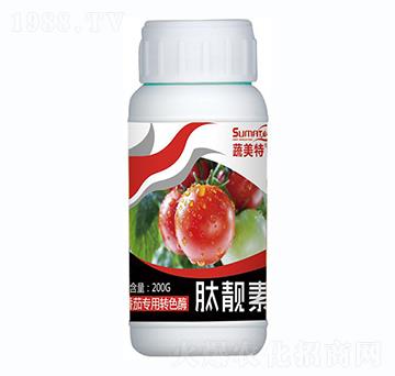 ���ь����Dɫø-���n��-������