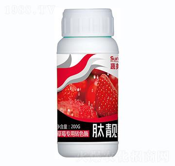 ��ݮ�����D(zhu��n)ɫø-���n��-������