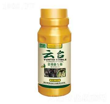 ʳ�þ�����-���_(t��i)