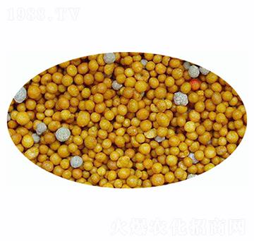 ��(sh��)֬����-�����r(n��ng)�I(y��)