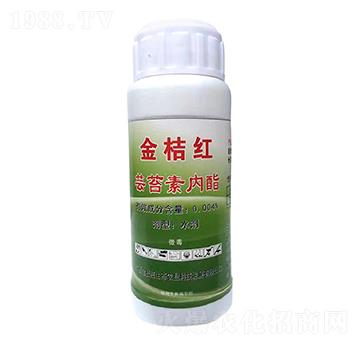 �|̦�؃�(n��i)֬-��ۼt���B(t��i)